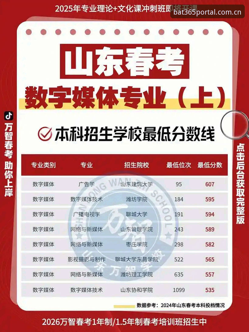 bat365数字服务使用技巧 bat365体育平台数字服务功能深度解析:2024年最新使用技巧汇总